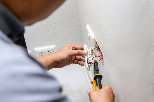 Best Home Electrical Repair  in Roland, IA